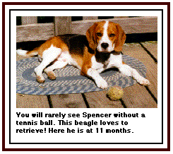 Spencer